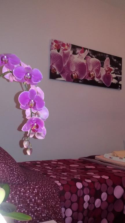 B&B Interno 8 Róma Szoba fotó